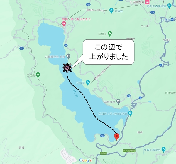 ASINOKOTIZU 