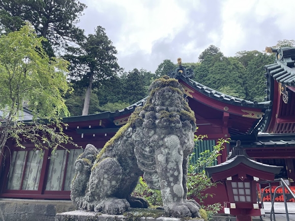 HAKONEZINNZYA 