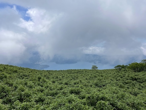 HAKONEKOMAGATAKE 