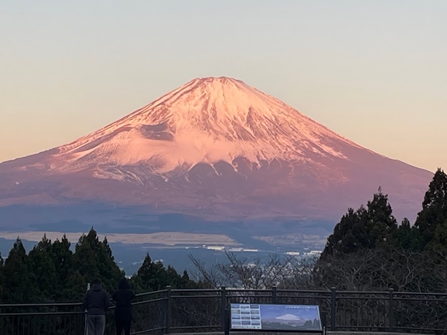 生まれ故郷で発見