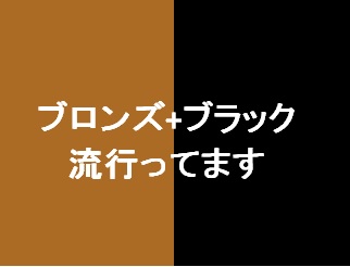 ブロンズ+ブラックがカッコいいのだ！！